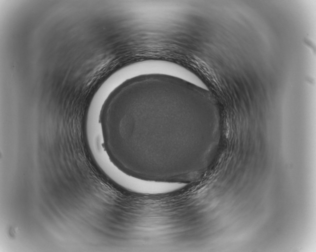 X0000095550697200712281606