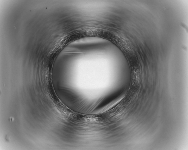 X0000095550698200712281606