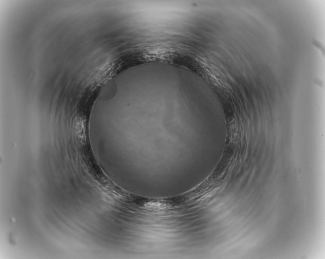 X0000095550699200712281606