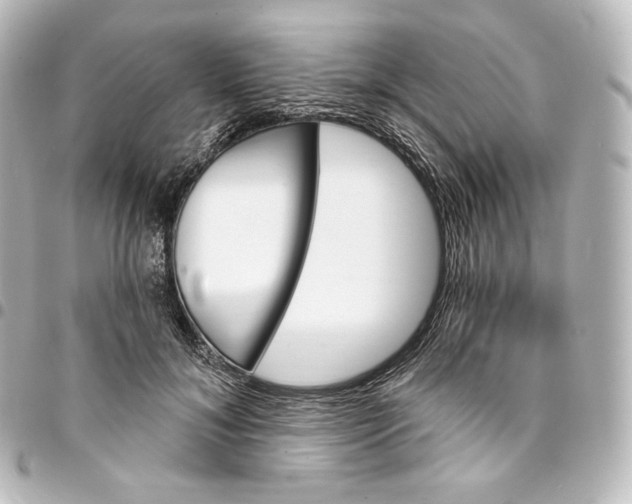 X0000095550700200712281606