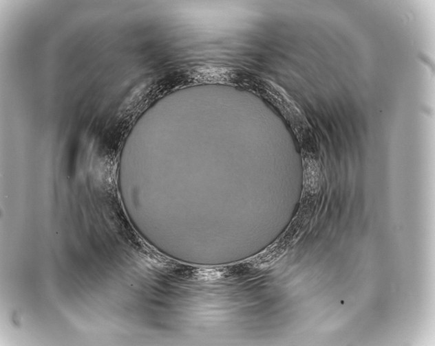 X0000095550701200712281606