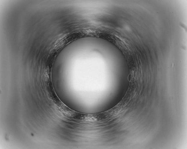 X0000095550702200712281606