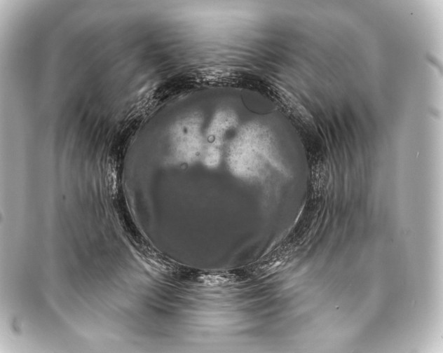 X0000095550703200712281606