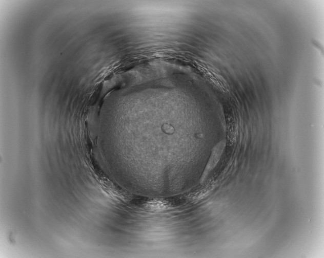 X0000095550704200712281606