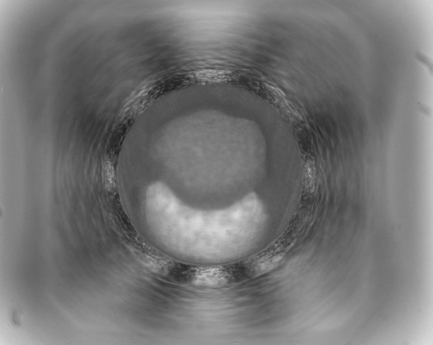 X0000095550705200712281606