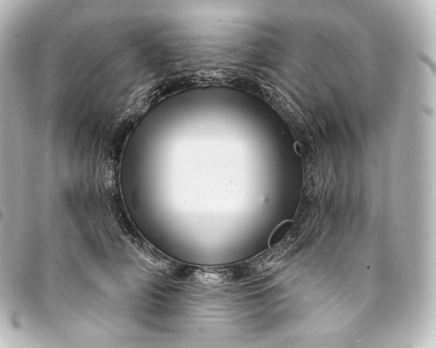 X0000095550706200712281606