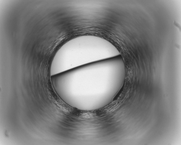 X0000095550708200712281606