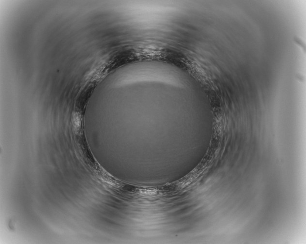 X0000095550709200712281606