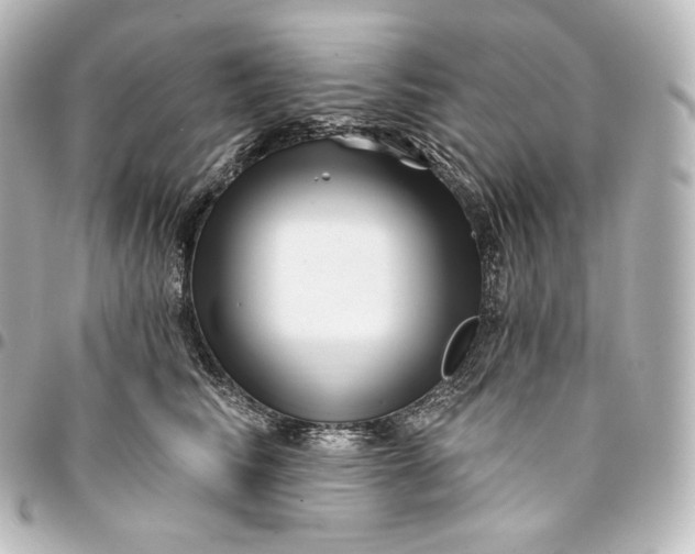 X0000095550710200712281606