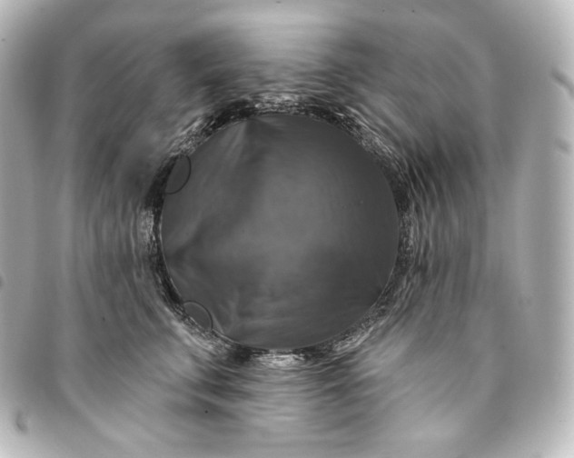 X0000095550711200712281606