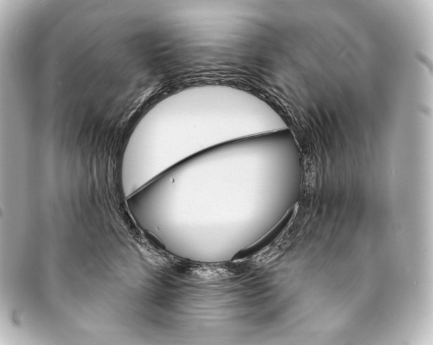 X0000095550712200712281606