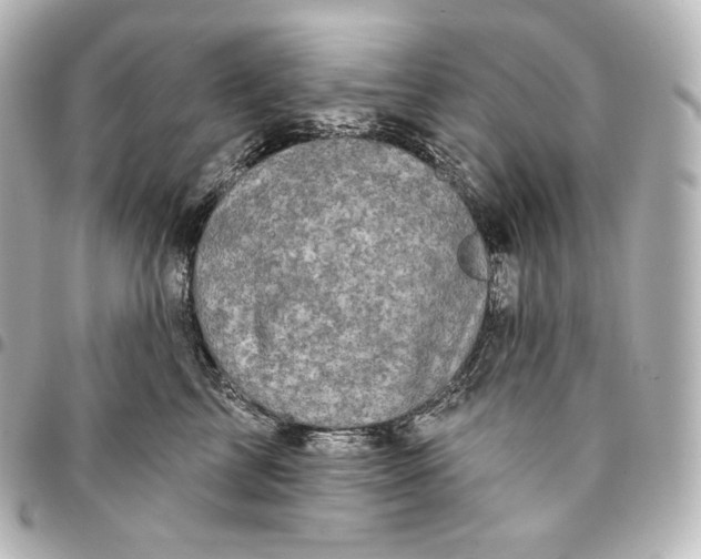 X0000095550713200712281606