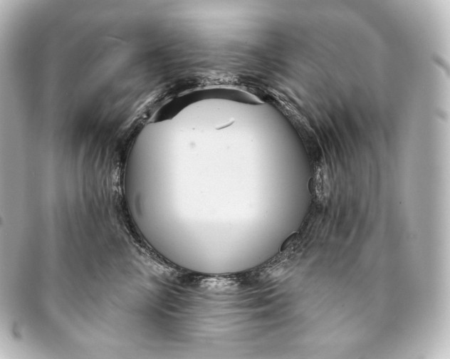 X0000095550714200712281606