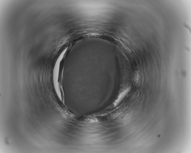 X0000095550715200712281606