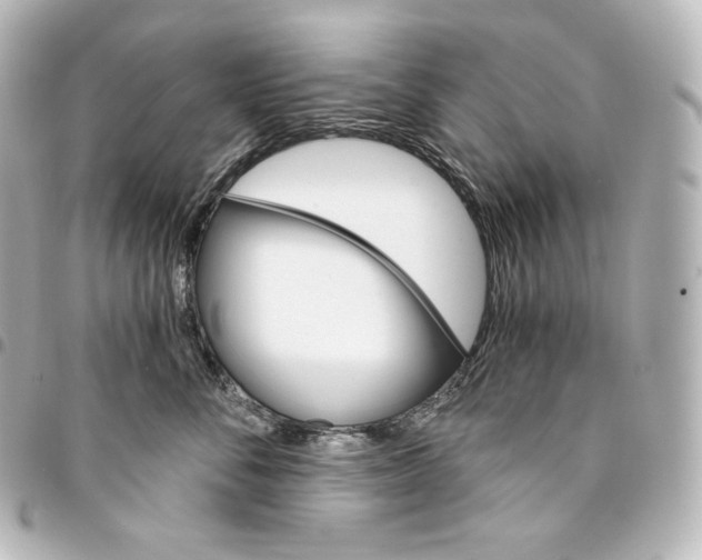 X0000095550716200712281606