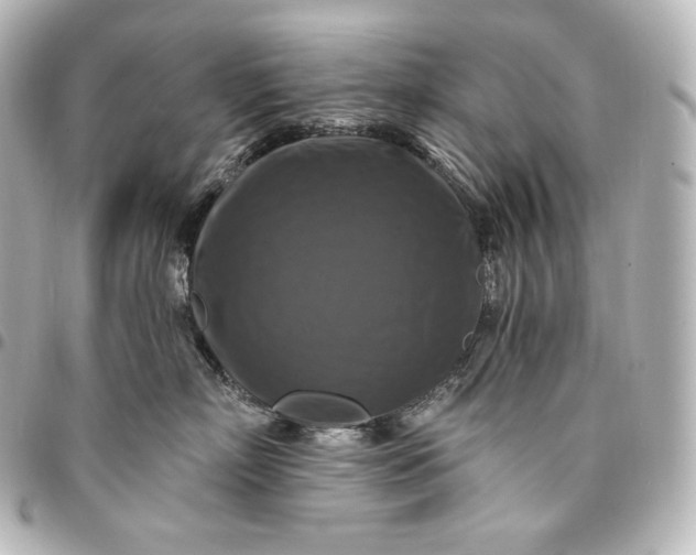 X0000095550718200712281606