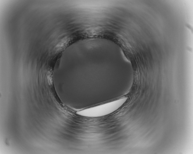 X0000095550719200712281606