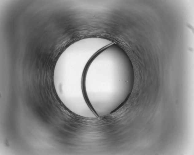 X0000095550720200712281606