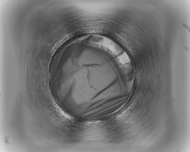 X0000095550721200712281605