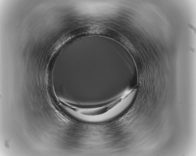 X0000095550722200712281605