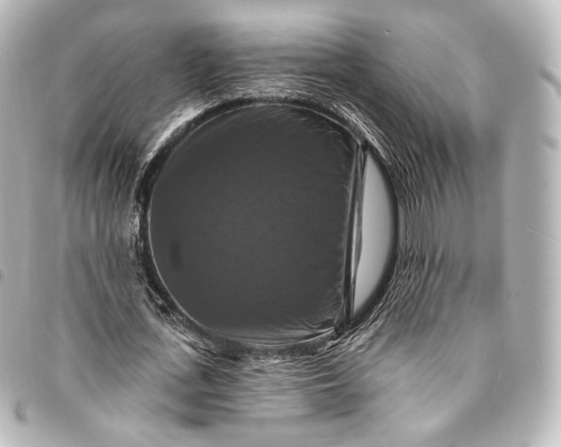 X0000095550723200712281605