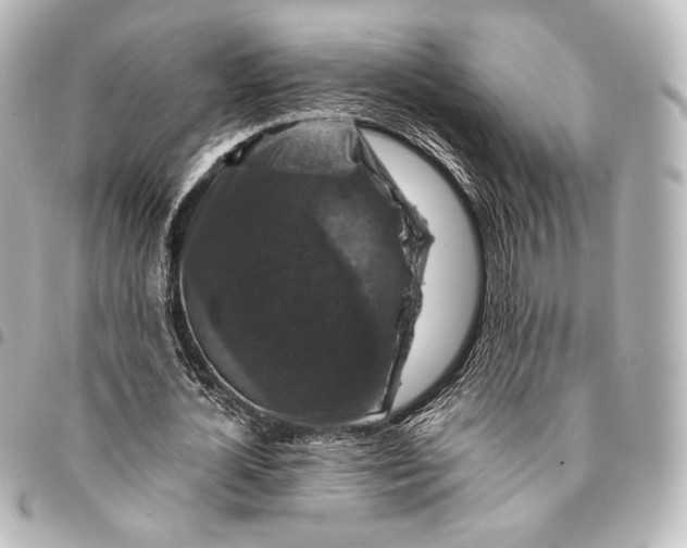 X0000095550724200712281605