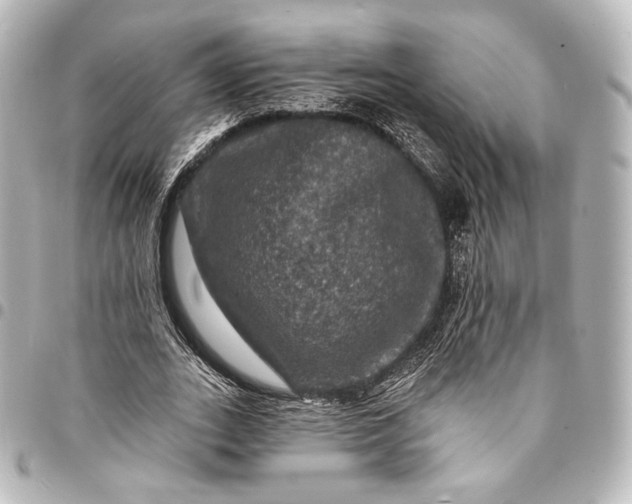 X0000095550727200712281605