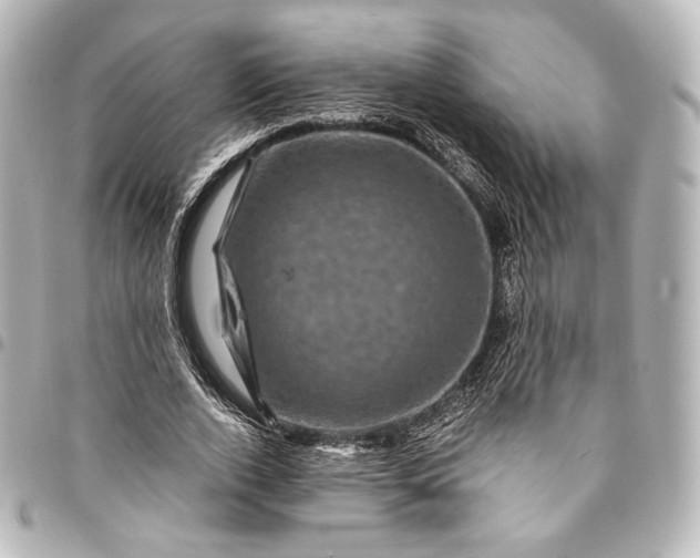 X0000095550728200712281605