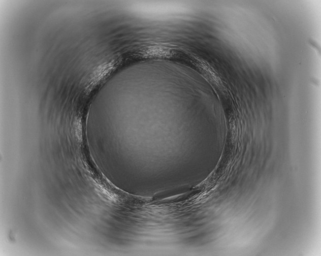 X0000095550729200712281605