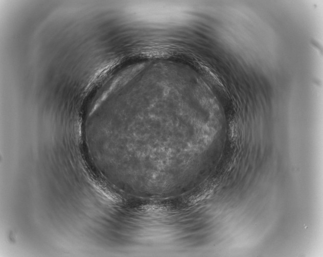 X0000095550733200712281606