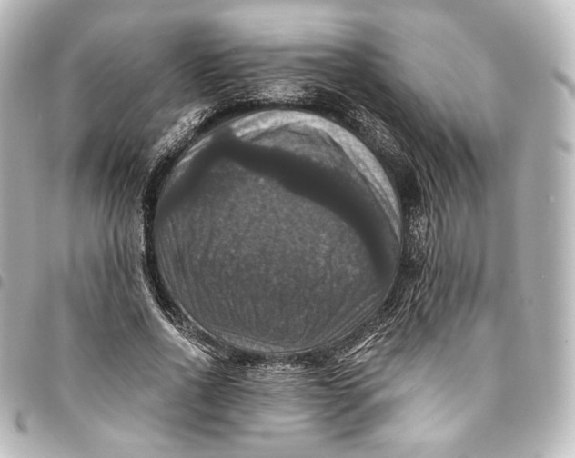 X0000095550734200712281606