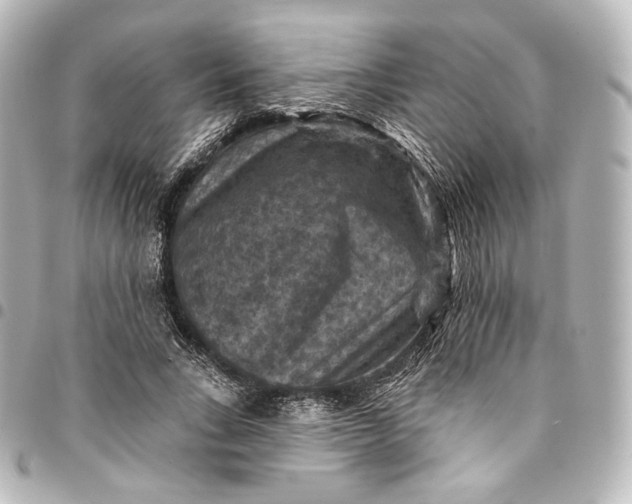 X0000095550735200712281606