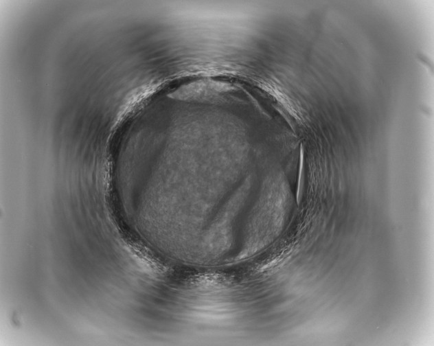 X0000095550736200712281606