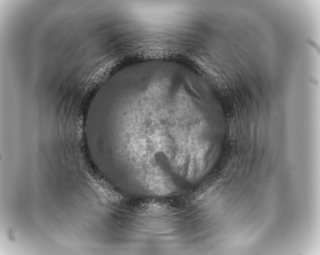 X0000095550737200712281606