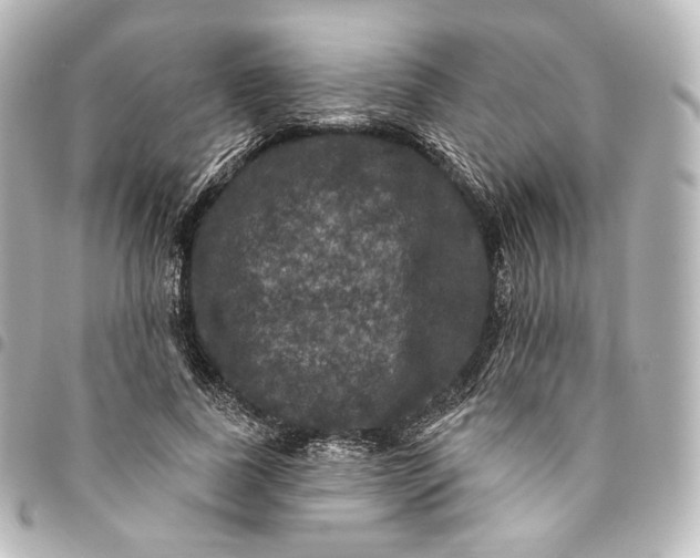 X0000095550739200712281606