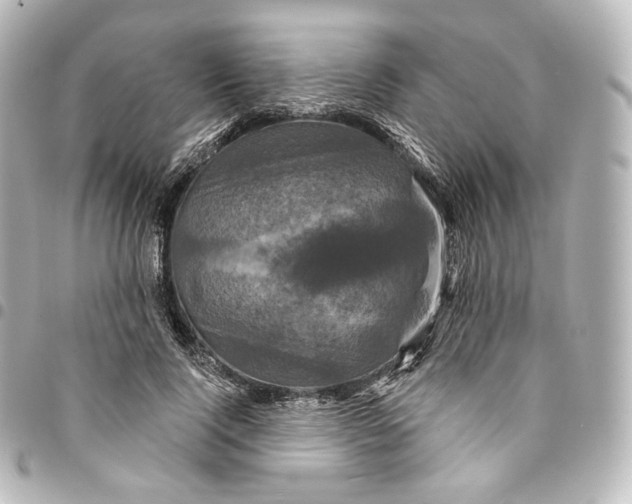 X0000095550740200712281606