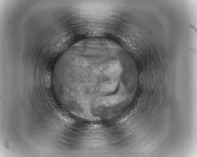 X0000095550741200712281606