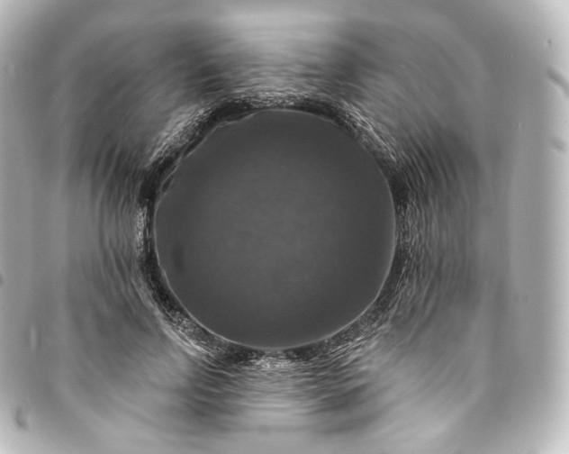 X0000095550742200712281606