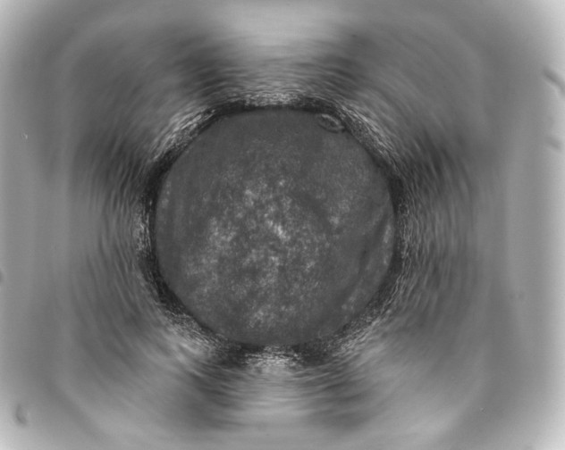 X0000095550743200712281606