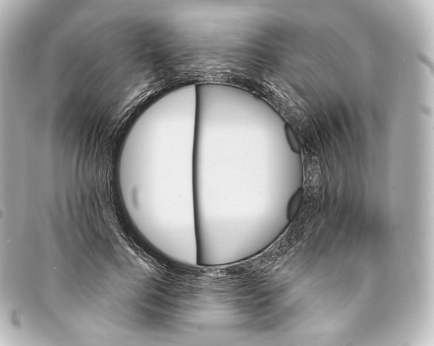 X0000095550744200712281606