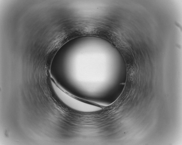 X0000095550746200712281606