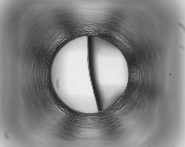 X0000095550748200712281606