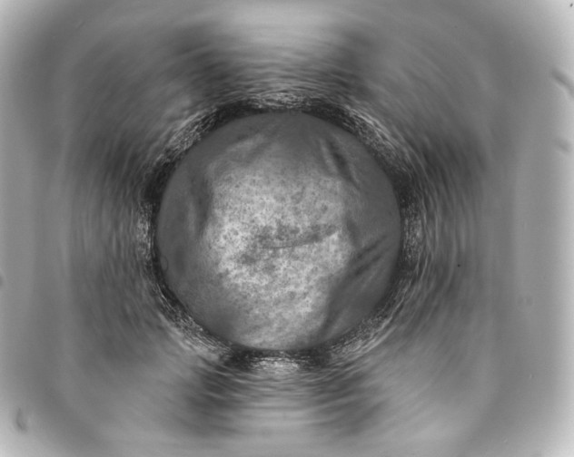 X0000095550749200712281606