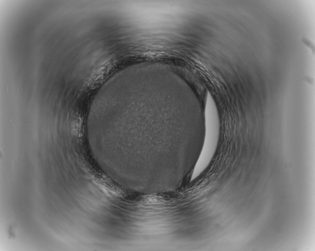 X0000095550750200712281606