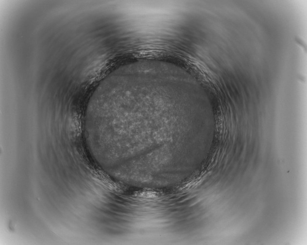 X0000095550751200712281606