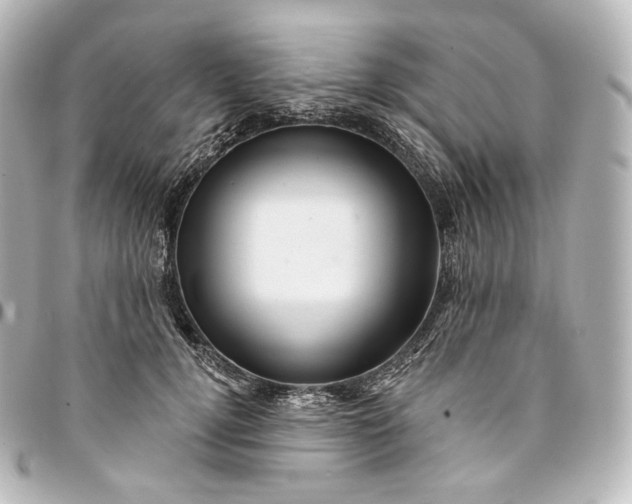 X0000095550752200712281606