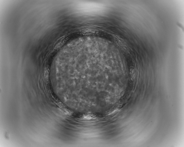 X0000095550753200712281606