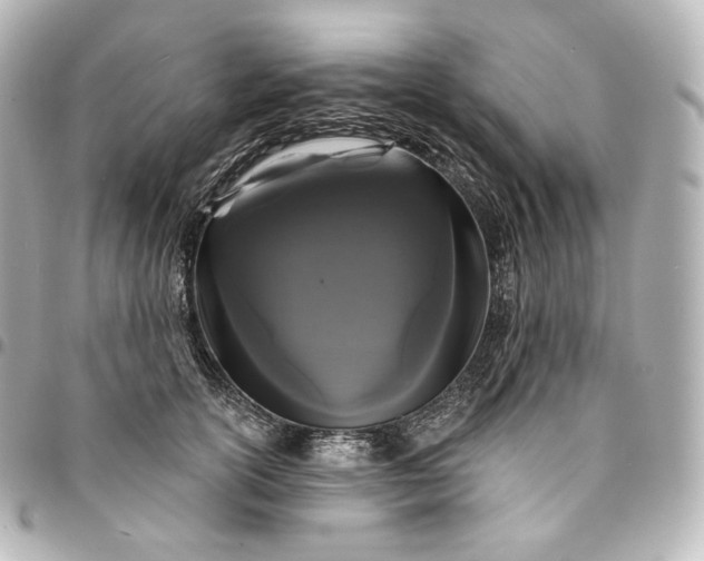 X0000095550754200712281606