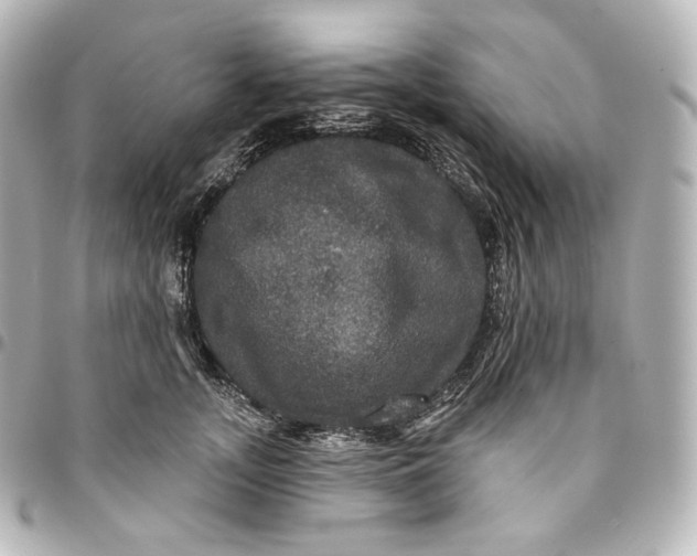 X0000095550755200712281606