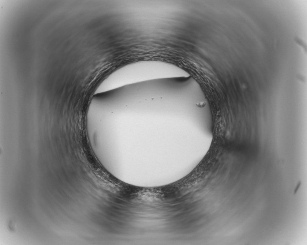 X0000095550756200712281606